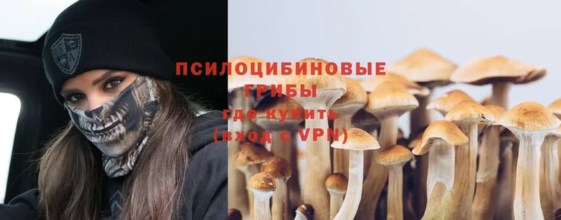 Псилоцибиновые грибы Psilocybine cubensis  блэк спрут зеркало  Красавино 